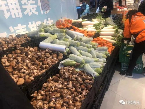 疫情下的城市买菜记 当盒马小哥约满，数据揭示背后的民生现实